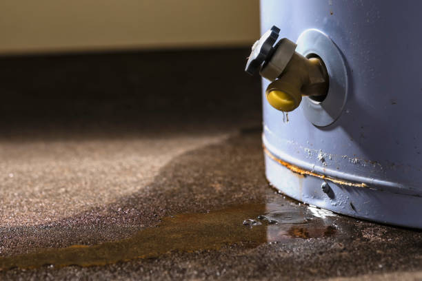 Best Fire Damage Restoration  in Goodwater, AL