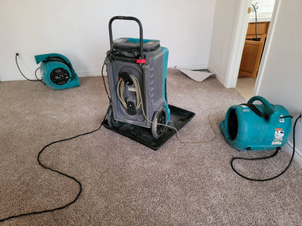 Best Professional water damage repair  in Goodwater, AL