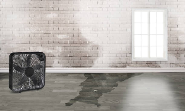 Best 24-hour water damage restoration  in Goodwater, AL