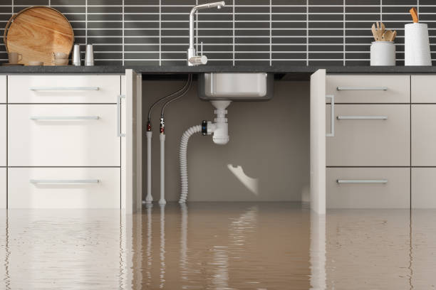 Sewage cleanup and water damage restoration in Goodwater, AL