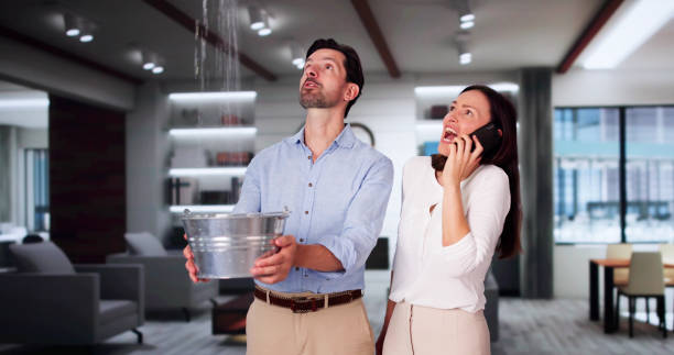 Best Water damage contractors near me  in Goodwater, AL